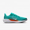 Miami Dolphins Pegasus 41