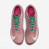 Nike Maxfly 2