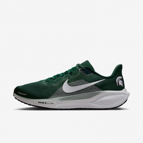 Michigan State Pegasus 41