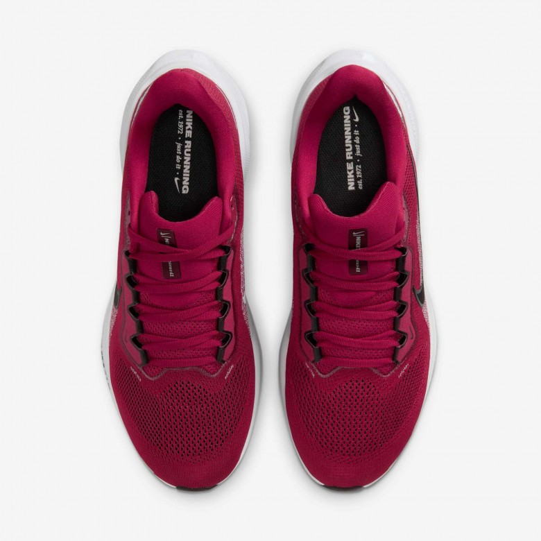 Arkansas Pegasus 41 Arkansas Pegasus 41