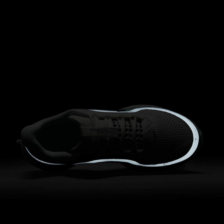 Nike Pegasus Premium Nike Pegasus Premium