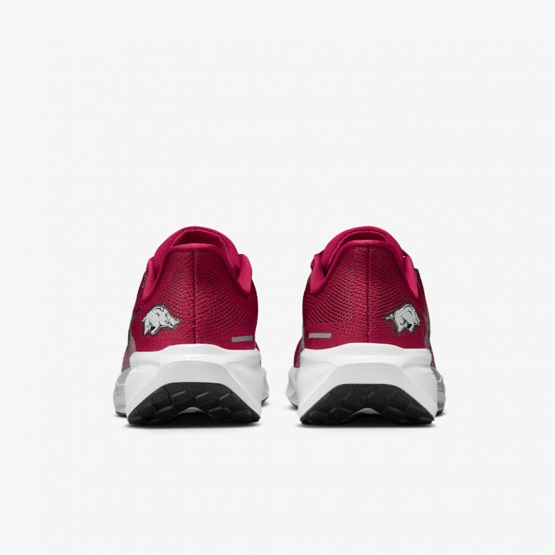 Arkansas Pegasus 41 Arkansas Pegasus 41