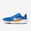 Los Angeles Chargers Pegasus 41
