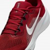 Arizona Cardinals Pegasus 41