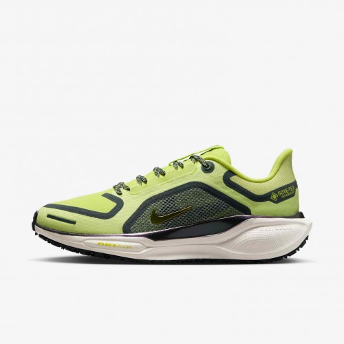 Nike Pegasus 41 GORE-TEX