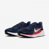 New England Patriots Pegasus 41