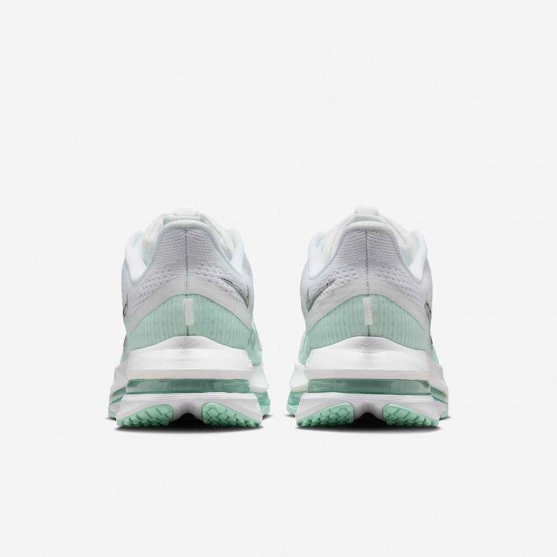 Nike Pegasus Premium Nike Pegasus Premium