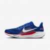 Buffalo Bills Pegasus 41