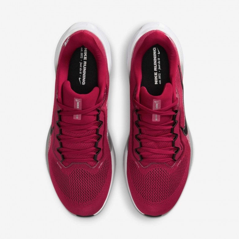 Alabama Pegasus 41 Alabama Pegasus 41