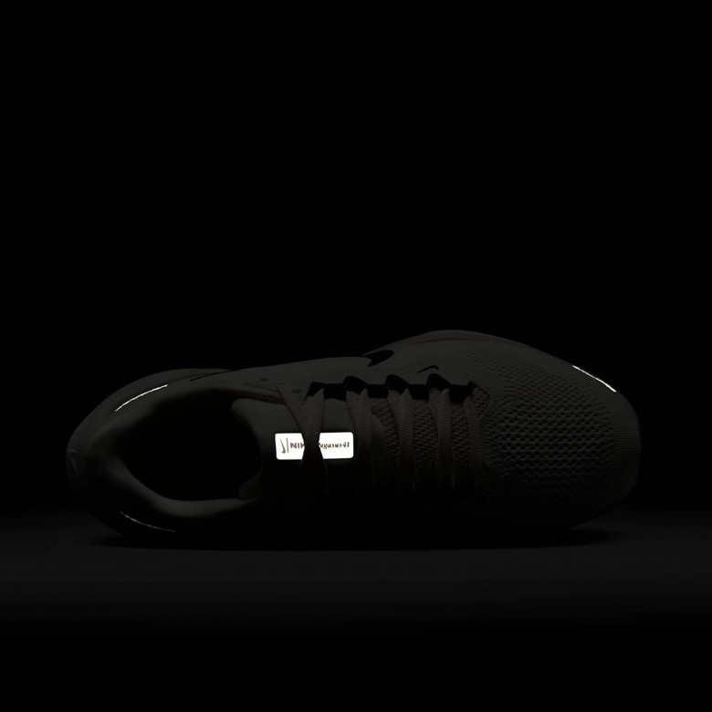 Nike Pegasus 41 Nike Pegasus 41