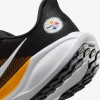 Pittsburgh Steelers Pegasus 41