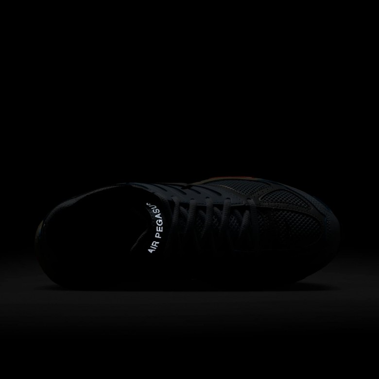 Nike Air Pegasus 2005 Nike Air Pegasus 2005