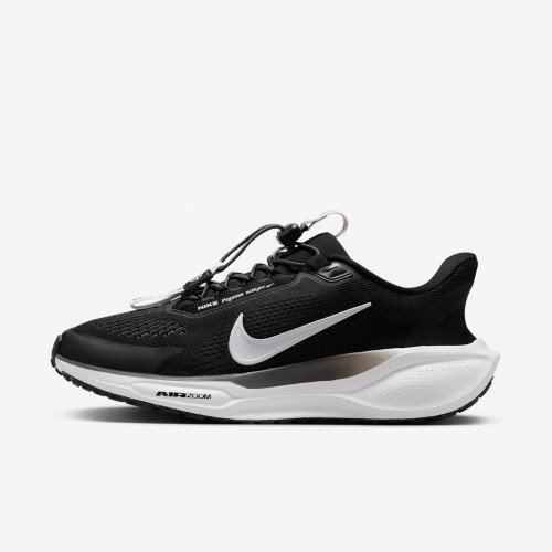 Nike Pegasus EasyOn