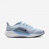 Nike Pegasus 41