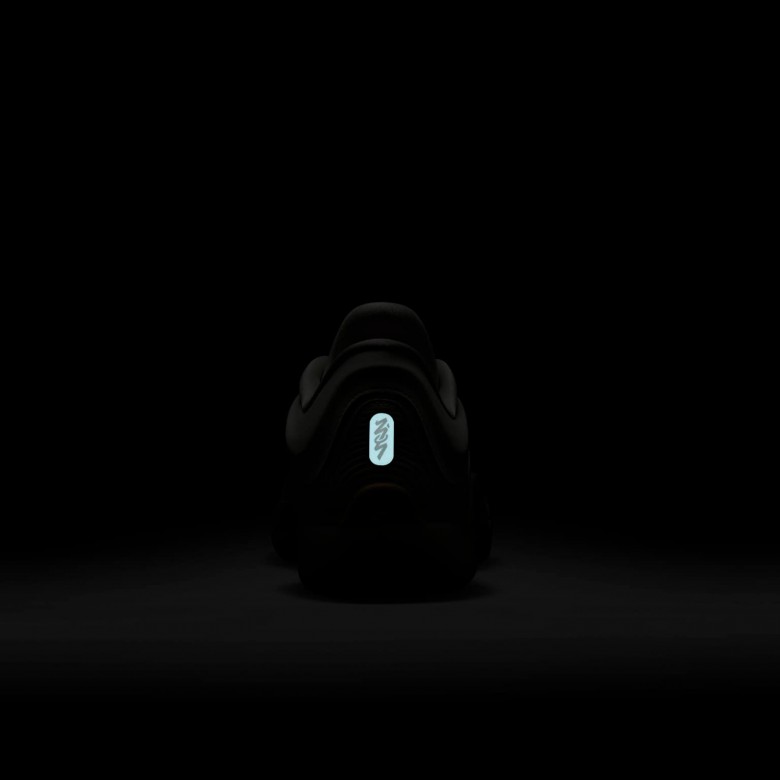 Zion 4 "Low Country" Zion 4 "Low Country"